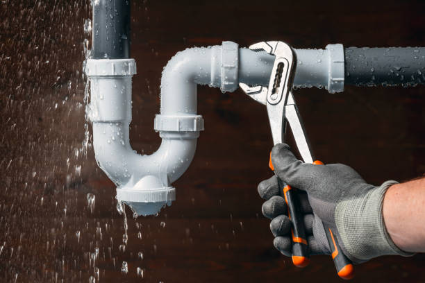 Professional Plumbing technician working in Casco, MI